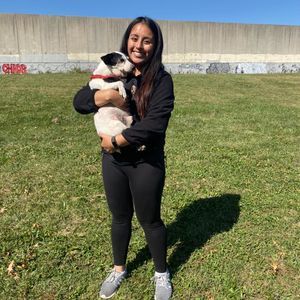 Meet your Posher, Karina